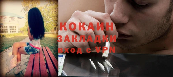 сатива Гусев