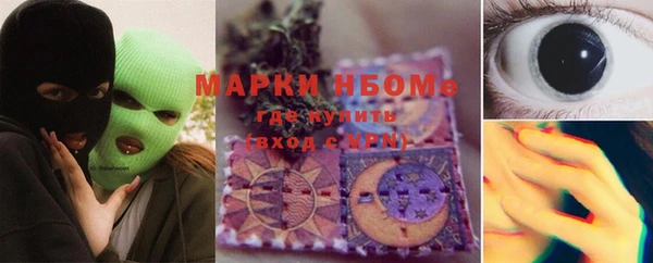индика Вяземский