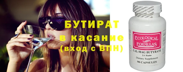 индика Вяземский