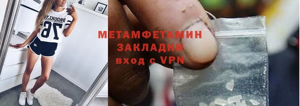 индика Вяземский