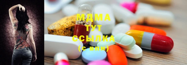 сатива Гусев