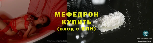 индика Вяземский