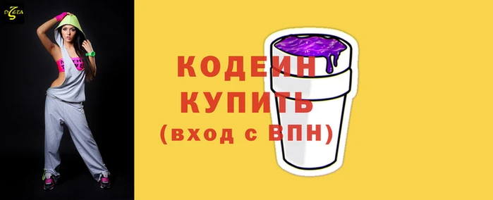 индика Вяземский