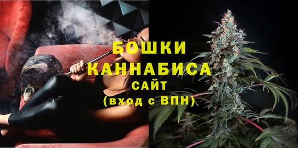 индика Вяземский