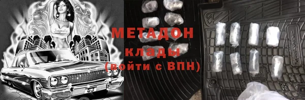 индика Вяземский
