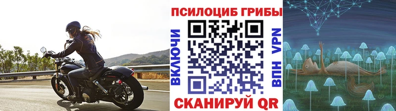 Псилоцибиновые грибы мухоморы  Западная Двина 